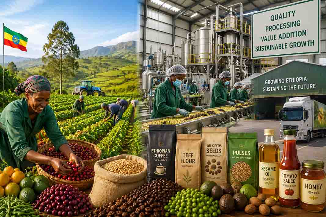 Growing Processing Sector